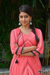 Anu Emmanuel At Majnu Movie Success Meet